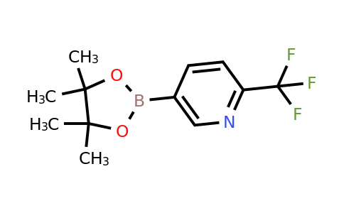 2-(Trifluoromethyl)pyridine-5-boronic acid pinacol ester