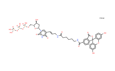 Fluorescein-12-dUTP