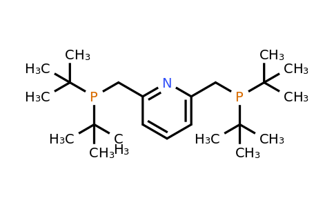 2,6-Bis(di-t-butylphosphinomethyl)pyridine
