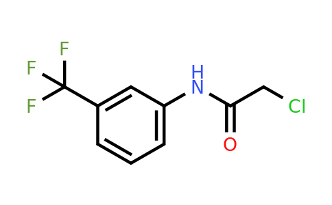 2-chloro-N-[3-(trifluoromethyl)phenyl]acetamide