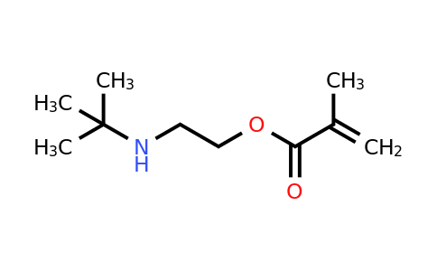 2-(tert-butylamino)ethyl 2-methylprop-2-enoate