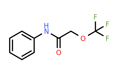 2-(Trifluoromethoxy)acetanilide