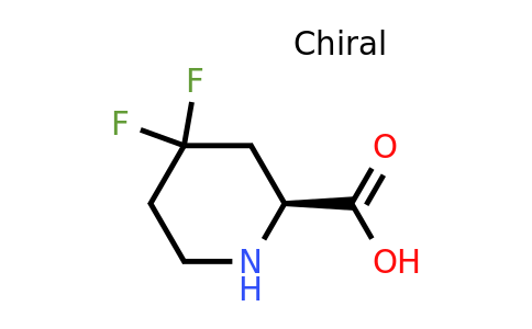 (S)-4,4-Difluoropiperidine-2-carboxylic acid