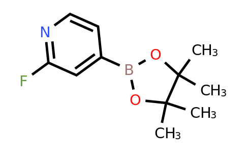 2-Fluoro-4-(4,4,5,5-tetramethyl-1,3,2-dioxaborolan-2-yl)pyridine