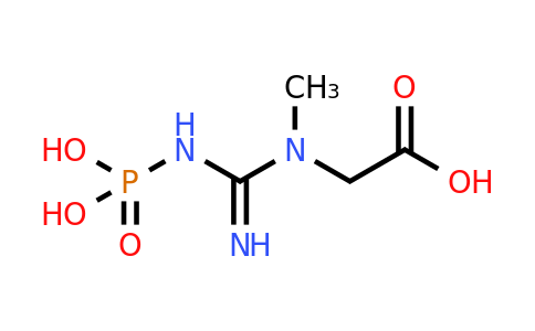 N-phosphocreatine